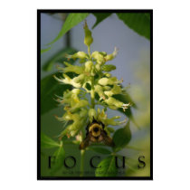 Focus Inspirational Message Poster Art Photo Print by sexyshirts2 Focus Inspirational Message Poster Art Photo Print