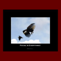 FOCUS IS EVERYTHING Poster posters