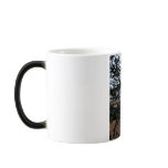 Focus Mug