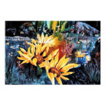 Focus on Balsam Root posters