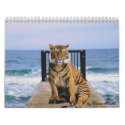 Focus & Strength_2010 Calendar-by Elenne Boothe