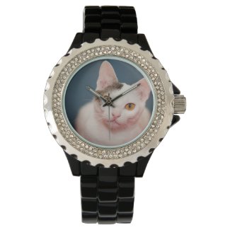 Focused Kitty Cat Wrist Watches