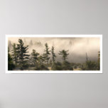 Fog and Conifers in the Morning posters