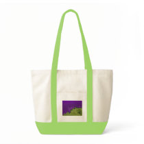 Fog Bag