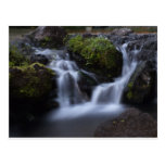 Fog Falls Postcard