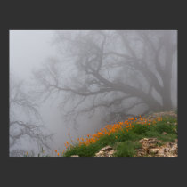 Fog Fire posters