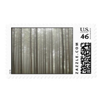 Fog Forest Postage postage