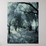 Fog of Dawn posters