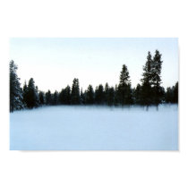 Fog on snow covered meadow posters by justino17 Fog on snow covered meadow posters