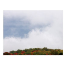 Fog Over Hillside--1  Postcard