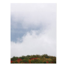 Fog Over Hillside--2 Postcard