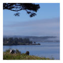 Fog Over The Bay posters