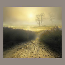 Fog posters