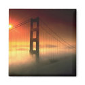 Fog Shrouded Golden Gate magnets