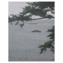 Foggy Day in Crescent City flyers
