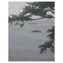 Foggy Day in Crescent City letterhead by Eurythmia Foggy Day in Crescent City letterhead