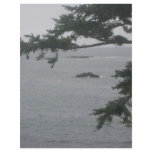 Foggy Day in Crescent City letterhead