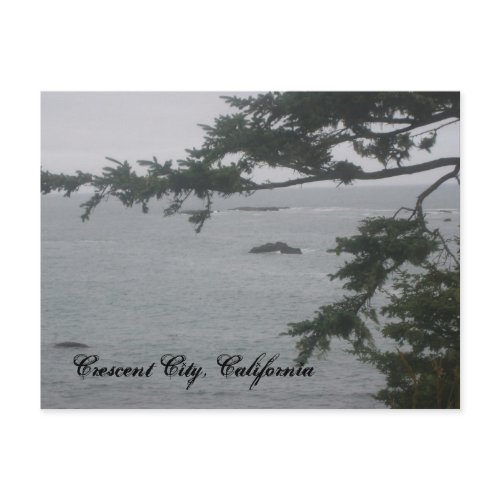 Foggy Day in Crescent City postcard