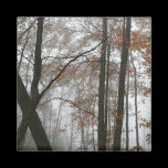 Foggy Fall Magnet