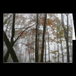 Foggy Fall Nature Card (Blank Inside)