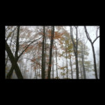 Foggy Fall Photography Print