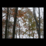 Foggy Fall Photography Print