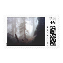 foggy Forest Postage Stamp