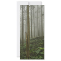 Foggy Forest Custom Rack Cards