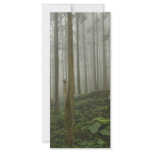 Foggy Forest Custom Rack Cards