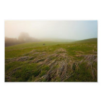 Foggy Meadow after rain Photographic Print