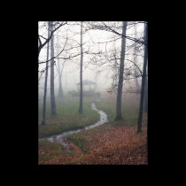 Foggy Morn canvas prints