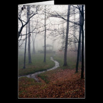 Foggy Morn cards