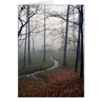 Foggy Morn cards by bhbphotos Foggy Morn cards
