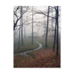 Foggy Morn Postcards