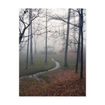 Foggy Morn postcards