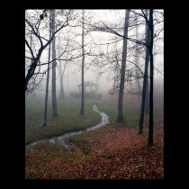 Foggy Morn posters