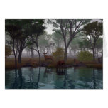 Foggy Morning cards