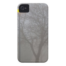 Foggy Morning iPhone 4 Case