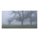 Foggy Morning Personalized Photo Card