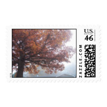 Foggy Morning Postage Stamp