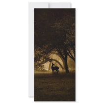 Foggy Morning rack cards by Jutilda Foggy Morning rack cards