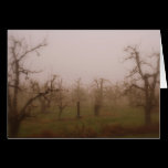 Foggy Mornings Greeting Card cards