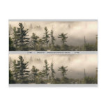 Foggy Mountain Meadow Bookmark Postcards