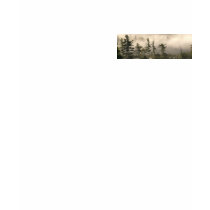 Foggy Mountain Meadow Bookmark t-shirts