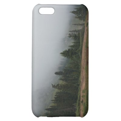 Foggy Mountain Scene iPhone 5c case