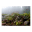 Foggy North Shore posters by kdpurdy Foggy North Shore posters