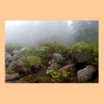 Foggy North Shore posters