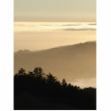 Foggy Parfait photo sculptures by rocknca Foggy Parfait photo sculptures