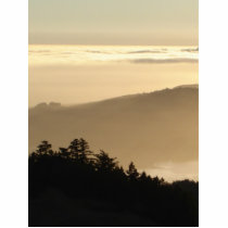 Foggy Parfait photo sculptures