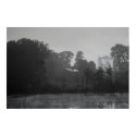 Foggy Pasture posters by schneiter Foggy Pasture posters